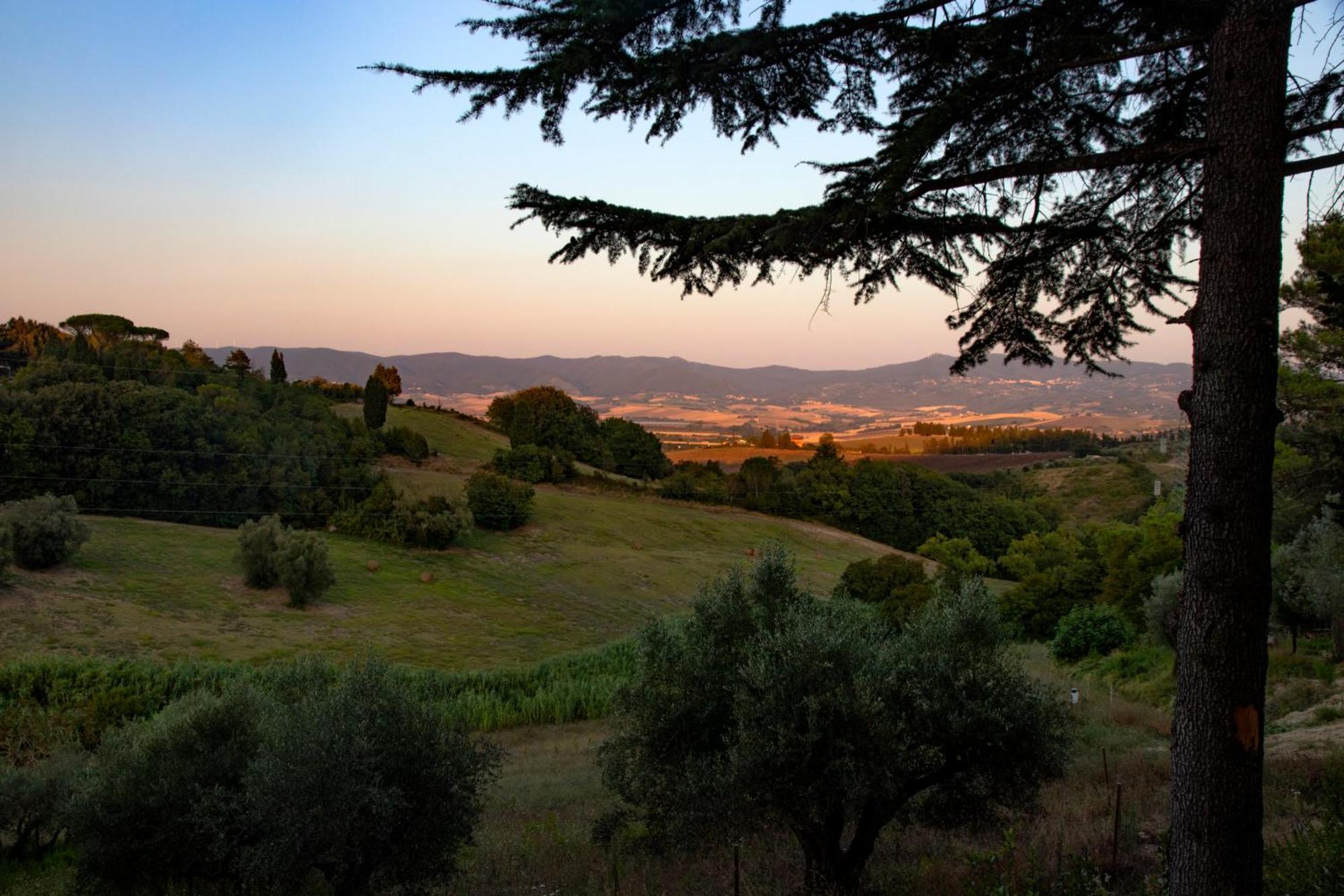 Agriturismo Terre Della Rinascita Castelnuovo della Misericordia Exterior photo